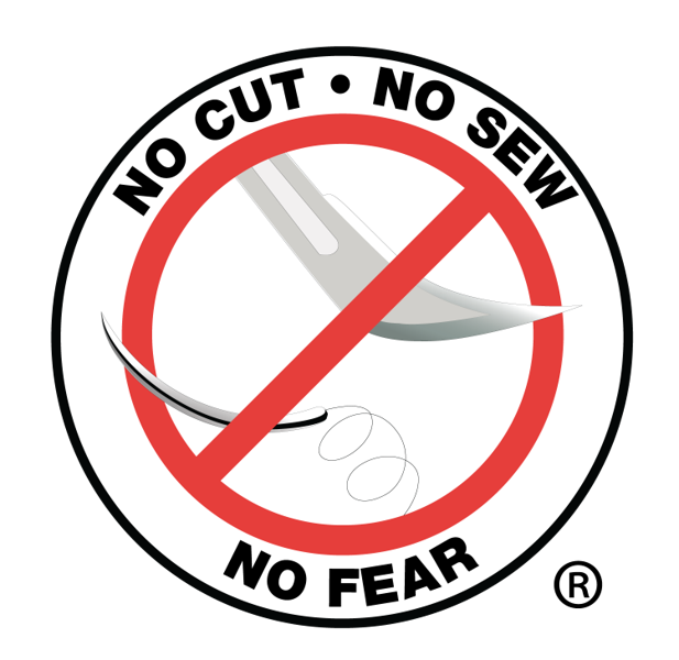 No Cut No Sew No Fear logo